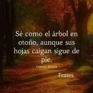 Meet your Posher, Diego